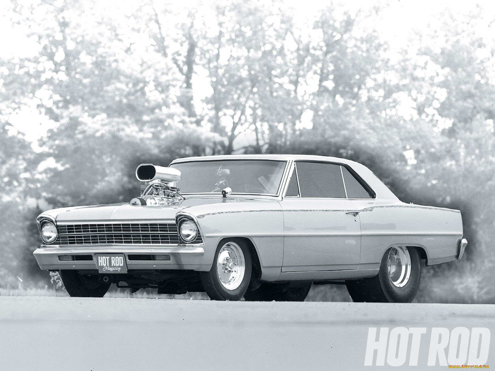 , hotrod, dragster, nova